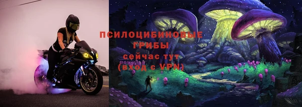 ALPHA PVP Алексин