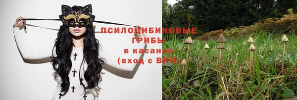 синтетический гашиш Алексеевка
