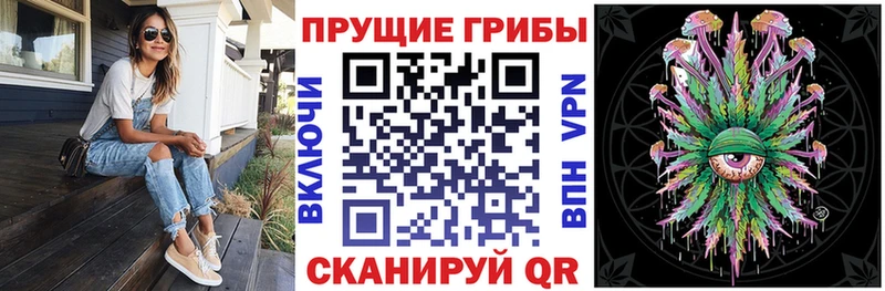 МЕГА ссылки  где найти   нарко площадка наркотические препараты  Галлюциногенные грибы Psilocybe  Артём 